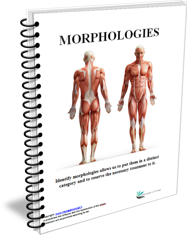 morphologies