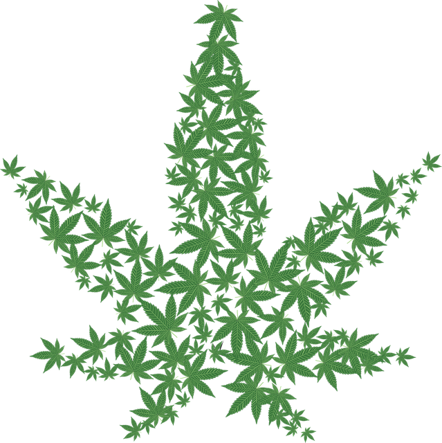 massaggi alla cannabis